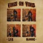 Liya – Vibes On Vibes ft. Olamide featured image Liya – Vibes On Vibes ft. Olamide – Liya Vibes On Vibes ft Olamide2
