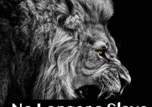 Chinwe Bliss – No Longer A Slave &ndash; Chinwe Bliss – No Longer A Slave