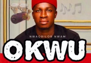 Nwaobilor Nwam - Okwu featured image Nwaobilor Nwam - Okwu – Nwaobilor Nwam Okwu