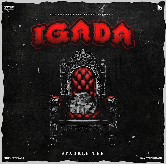 Sparkle Tee – Igada featured image Sparkle Tee – Igada – Sparkle Tee Igada 1