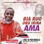 Rev Fr Ejike Mbaka - Bia Ruo Oru Iriba Ama featured image Rev Fr Ejike Mbaka - Bia Ruo Oru Iriba Ama – Ejike Mbaka bia Ruo Oru Iriba ama
