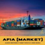 Albino Brothers - Afia (Market) (feat. Hon Ikem Mazeli) featured image Albino Brothers - Afia (Market) (feat. Hon Ikem Mazeli) – Albino Brothers afia