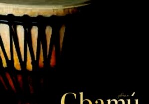 Segun Johnson - Gbamu Gbamu featured image Segun Johnson - Gbamu Gbamu – Segun Johnson Gbamu