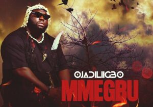Ojadiliigbo – Mmegbu – Ojadiliigbo Mmegbu