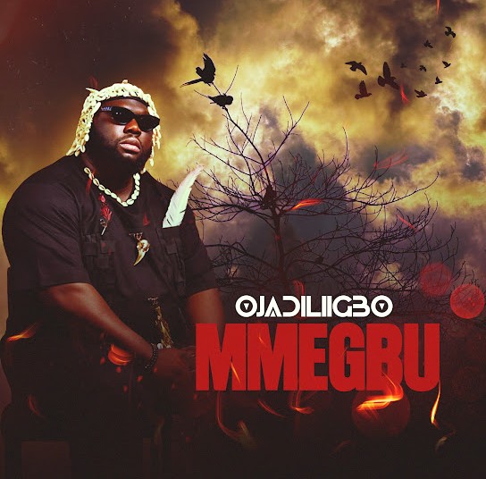 Ojadiliigbo – Mmegbu featured image Ojadiliigbo – Mmegbu – Ojadiliigbo Mmegbu