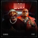 Slowdog – Work ft. Evado featured image Slowdog – Work ft. Evado – Slowdog Work ft Evado