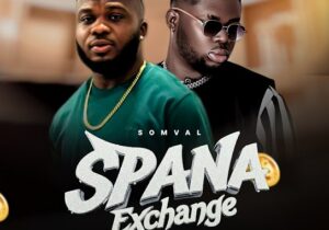 Somval – Spana Exchange – Somval Spana Exchange
