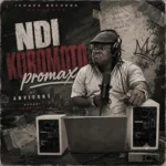 Anyidons - Ndi Koromoto Promax featured image Anyidons - Ndi Koromoto Promax – Anyidons Ndi Koromoto Promax Soundwela